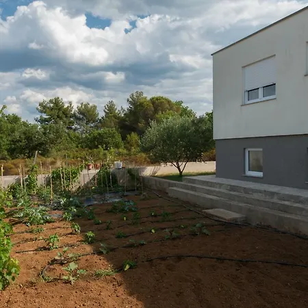 Villa Karla Debeljak - Zadar Exterior foto